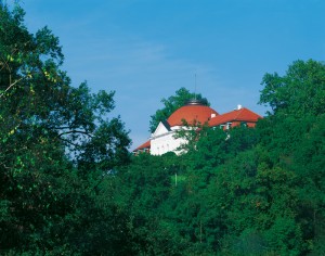 Dachowka-ceramiczna-SAKRAL-13