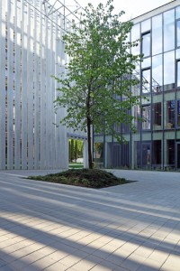 Urbanika-60 szary gladki Obrzeze trawnikowe szary gladki 15