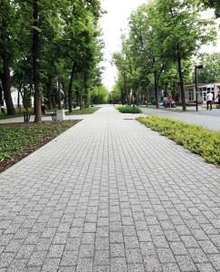 Complex szary plukany Obrzeze chodnikowe szary gladki 1