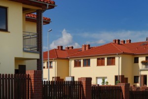 1MONZAplus-kasztanowa-1