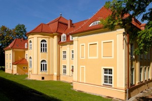 5MONZAplus-miedziana-1111